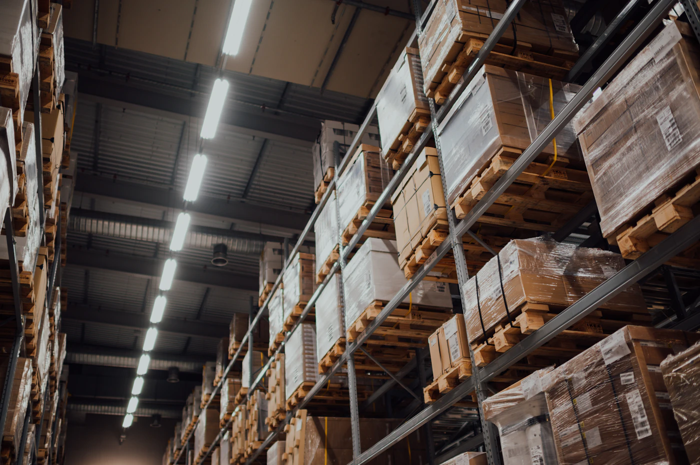 Commerce de gros non spécialisé